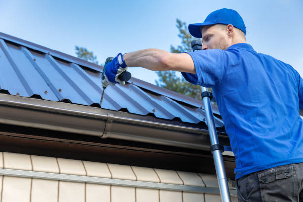 Best Roof Moss and Algae Removal  in Estill Springs, TN